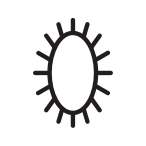 Oval brush design